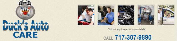Shop Banner